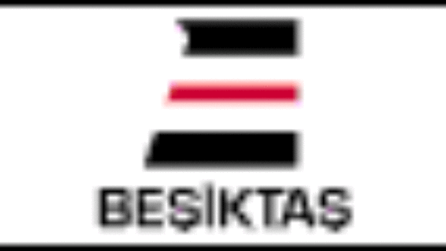 Beşiktaş Denizcilik Grubu